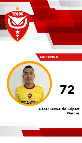 Defensa